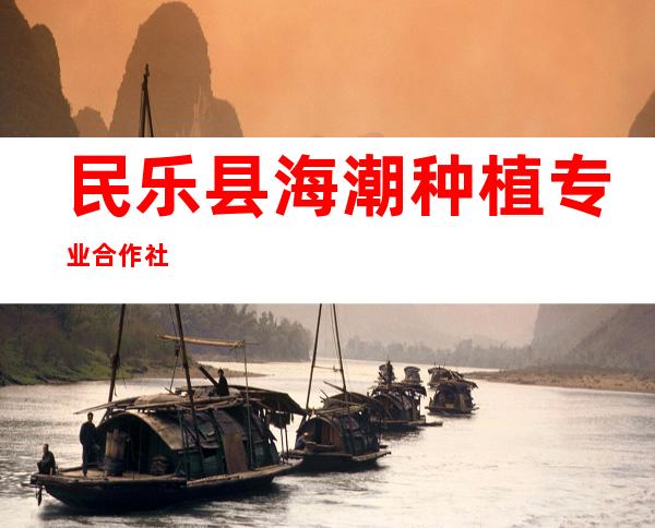 民乐县海潮种植专业合作社